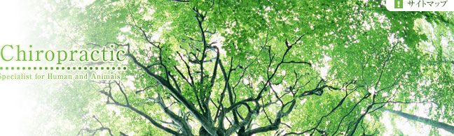 �T�C�g�}�b�v